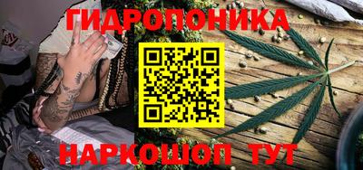 стаф Кулебаки