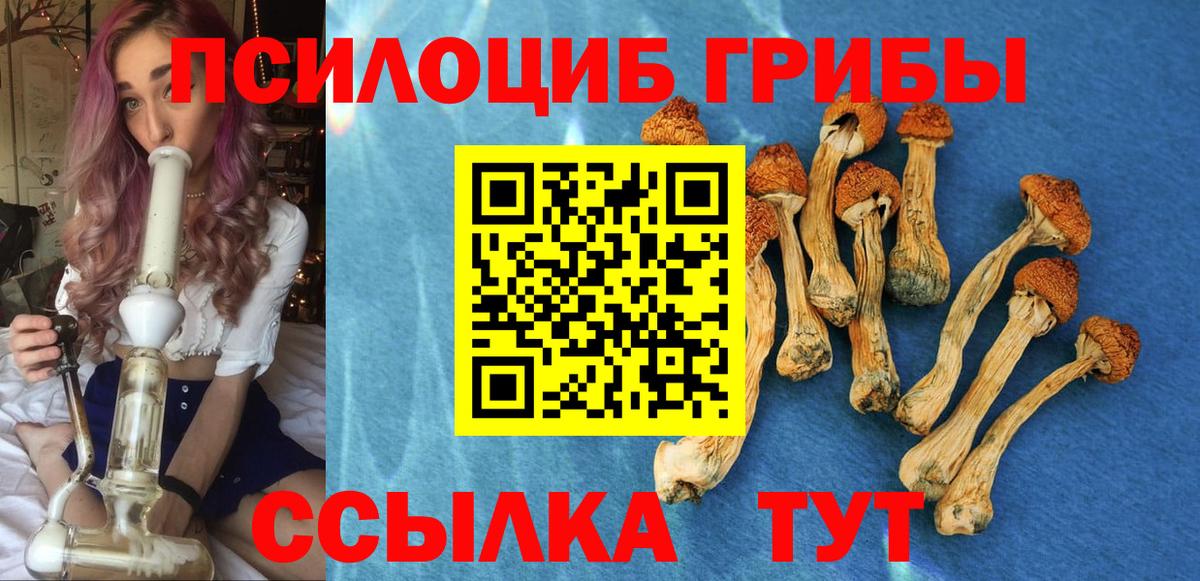 Галлюциногенные грибы мицелий  Вход с VPN  Псилоцибиновые грибы Cubensis  Гай 